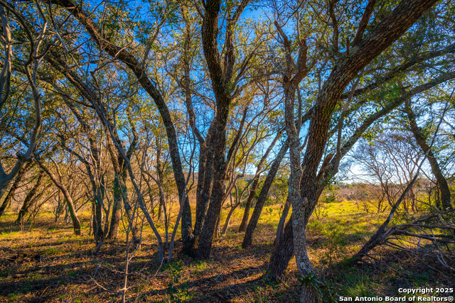 Listing photo id 10 for 1659 Mesa Verde