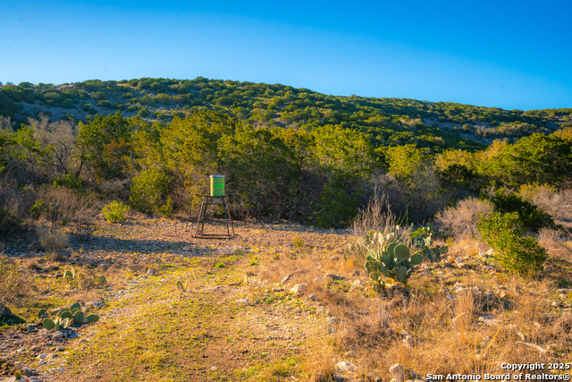 Listing photo id 13 for 1659 Mesa Verde