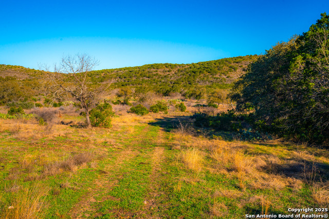 Listing photo id 5 for 1659 Mesa Verde