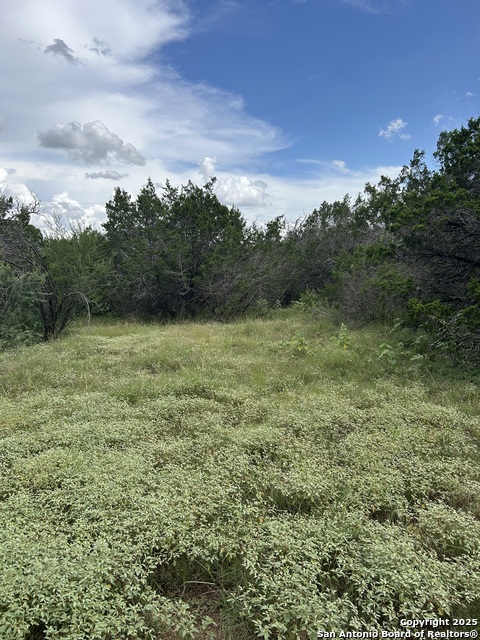 Listing photo id 9 for 3649 Fm 306