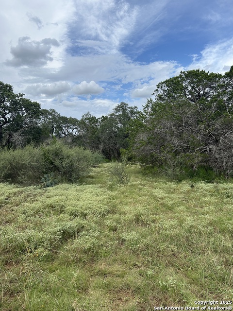 Listing photo id 11 for 3649 Fm 306