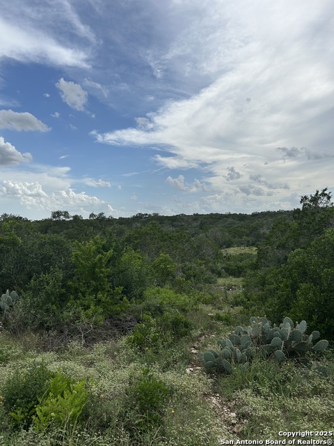 Listing photo id 2 for 3649 Fm 306