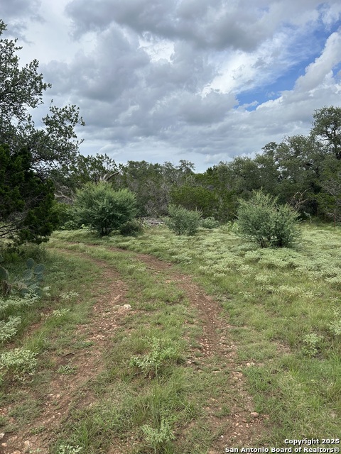 Listing photo id 3 for 3649 Fm 306