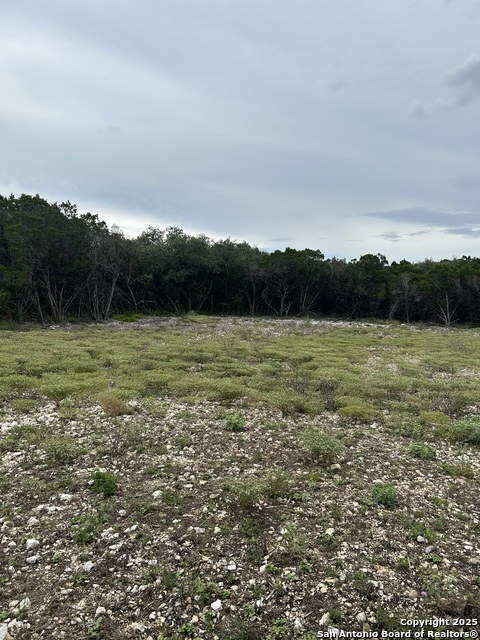 Listing photo id 5 for 3649 Fm 306