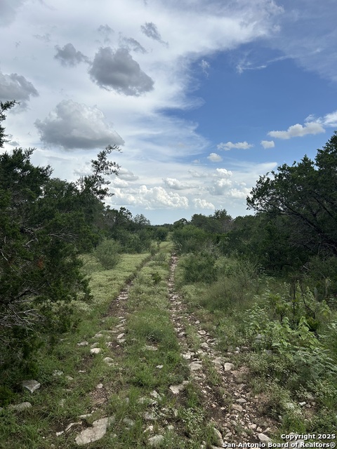 Listing photo id 6 for 3649 Fm 306