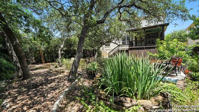 Image 14 of 30 For 25615 Coral Vine