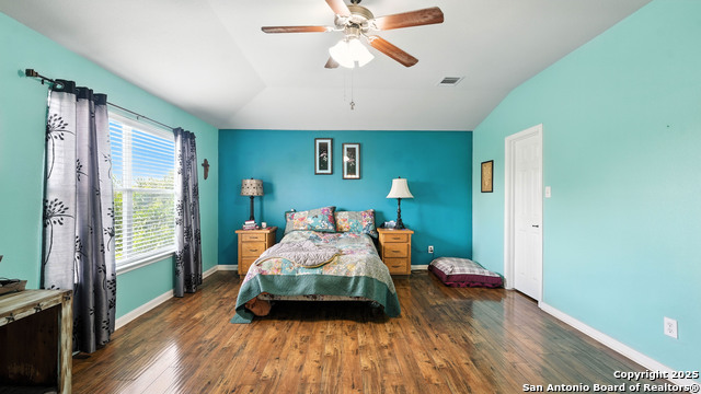 Image 20 of 30 For 25615 Coral Vine