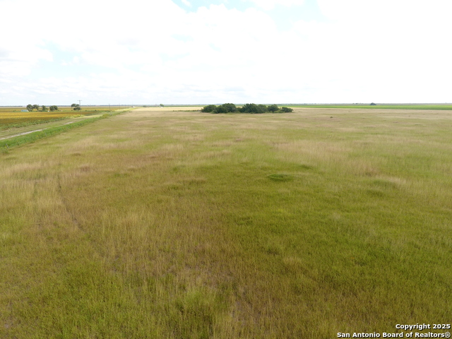 Listing photo id 3 for T5 Tbd County Road 1949