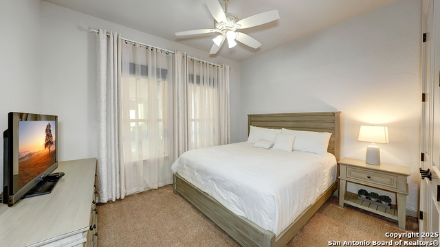 Image 18 of 43 For 1408 Olivastro