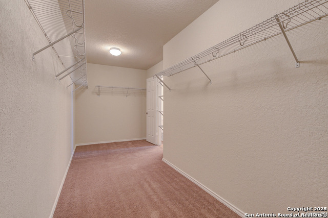 Image 23 of 25 For 24211 Bitter Crimson