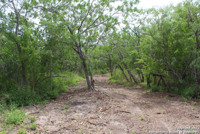 Listing photo id 9 for Tbd T10 Pierce Rd