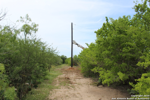 Listing photo id 2 for Tbd T10 Pierce Rd