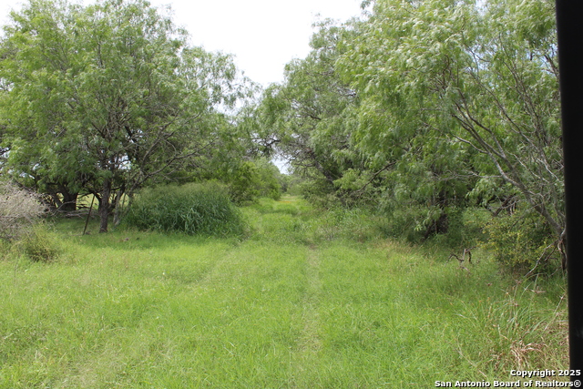 Listing photo id 6 for Tbd T10 Pierce Rd