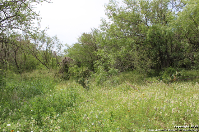 Listing photo id 7 for Tbd T10 Pierce Rd
