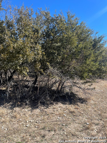 Image 3 of 8 For Lot #12 Enchanted River Dr.