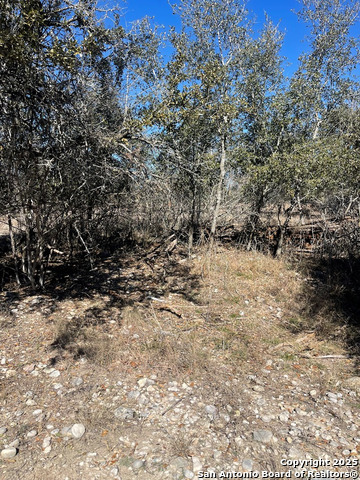 Image 5 of 8 For Lot #12 Enchanted River Dr.