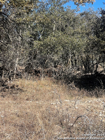 Image 6 of 8 For Lot #12 Enchanted River Dr.