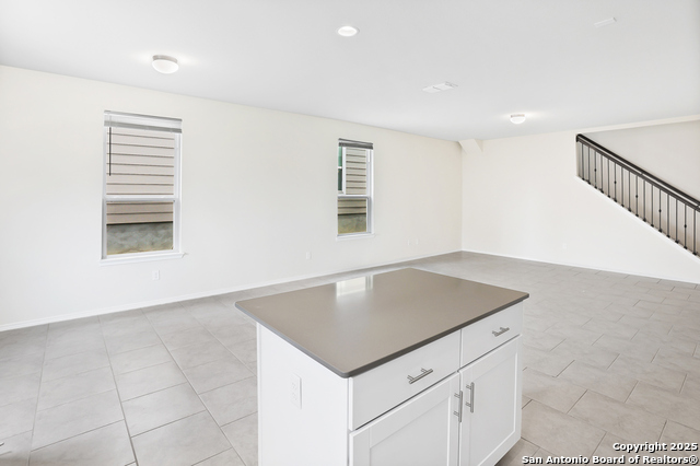 Image 13 of 35 For 27509 Holly Grape