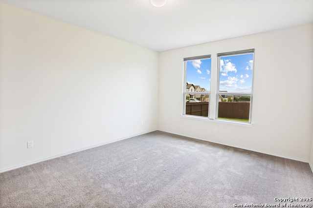 Image 17 of 35 For 27509 Holly Grape