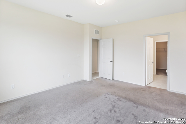 Image 18 of 35 For 27509 Holly Grape