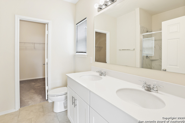 Image 19 of 35 For 27509 Holly Grape