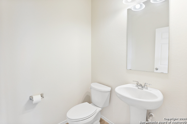 Image 21 of 35 For 27509 Holly Grape