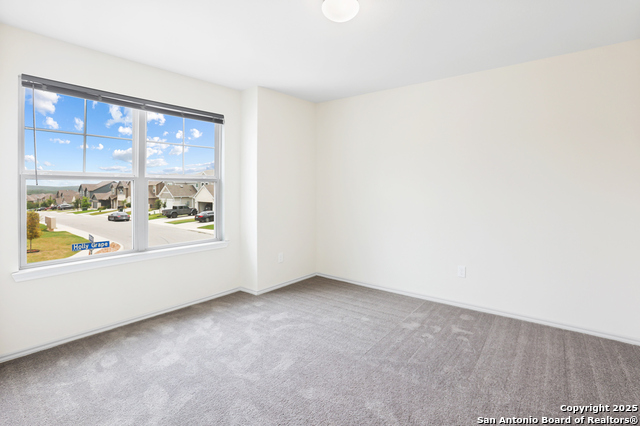 Image 22 of 35 For 27509 Holly Grape