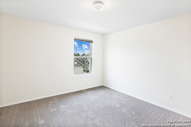 Image 24 of 35 For 27509 Holly Grape