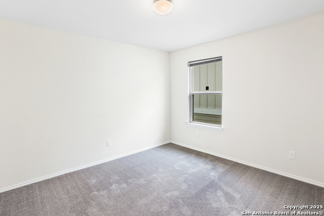 Image 26 of 35 For 27509 Holly Grape