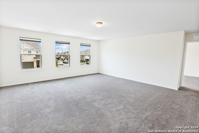 Image 29 of 35 For 27509 Holly Grape