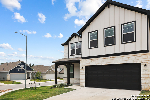 Image 3 of 35 For 27509 Holly Grape