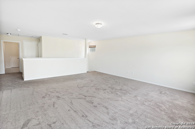 Image 30 of 35 For 27509 Holly Grape