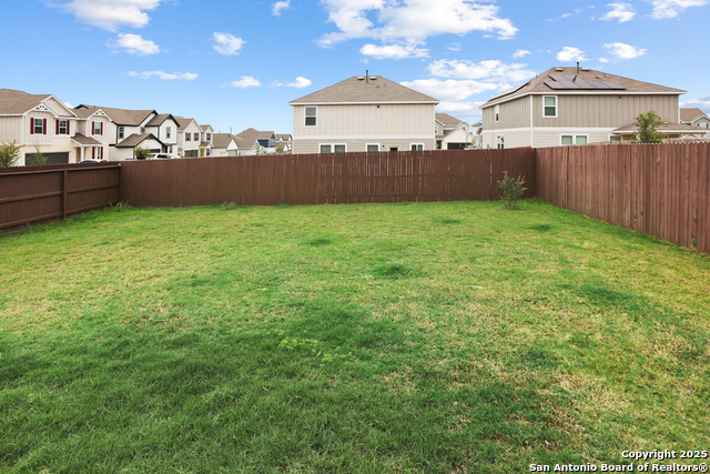 Image 32 of 35 For 27509 Holly Grape