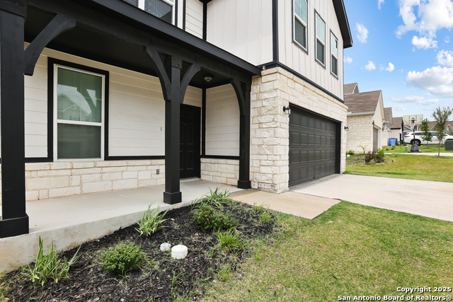 Image 4 of 35 For 27509 Holly Grape