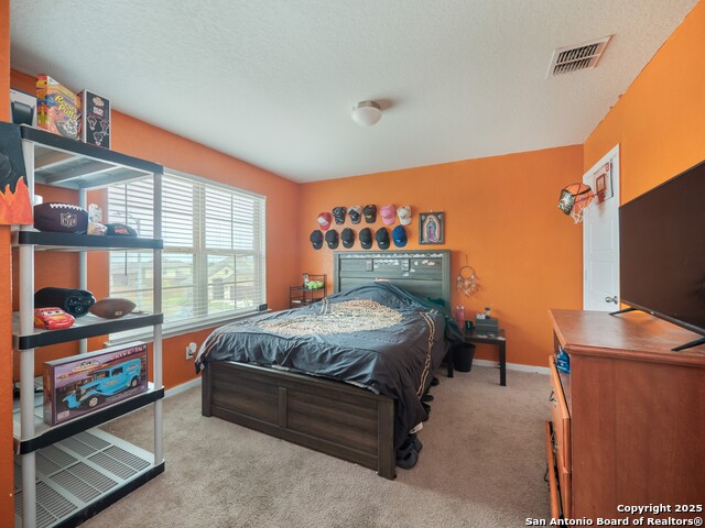 Image 23 of 42 For 15207 Comanche Mist