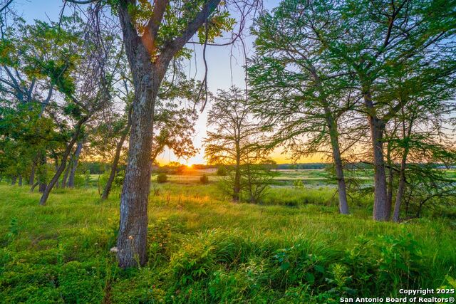 Image 12 of 28 For 112 Majestic Oaks Drive