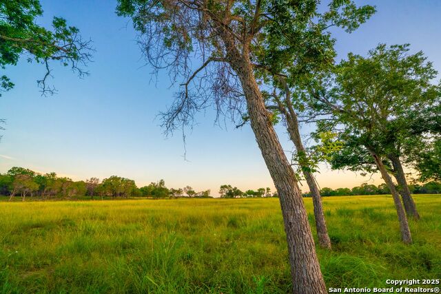 Image 19 of 28 For 112 Majestic Oaks Drive