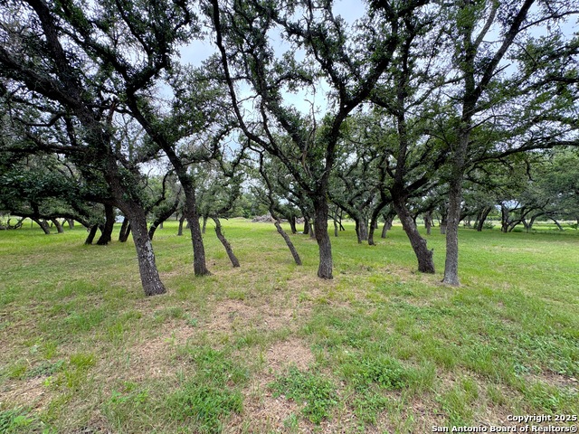 Image 11 of 20 For 318 Crooked Oak