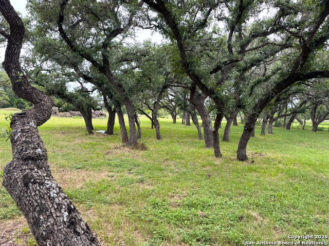 Image 12 of 20 For 318 Crooked Oak