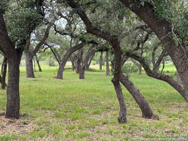 Image 13 of 20 For 318 Crooked Oak