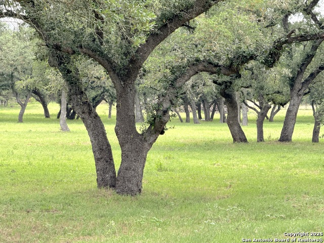 Image 14 of 20 For 318 Crooked Oak