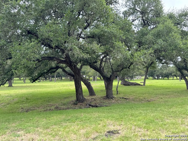 Image 17 of 20 For 318 Crooked Oak