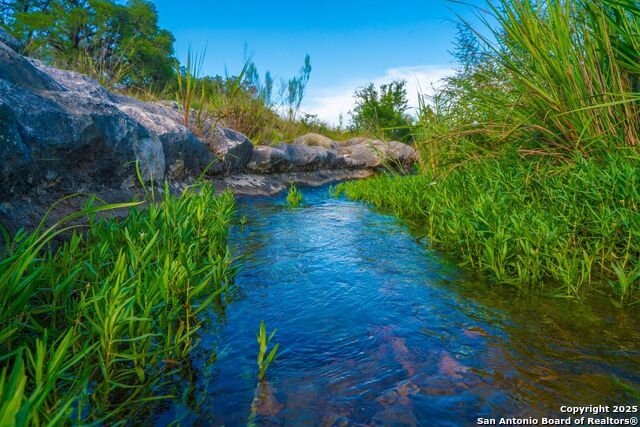 Image 6 of 29 For 327 Waring Welfare Road