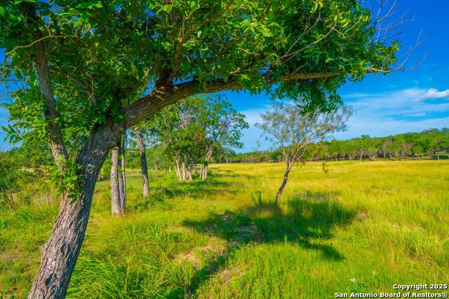 Image 8 of 29 For 327 Waring Welfare Road