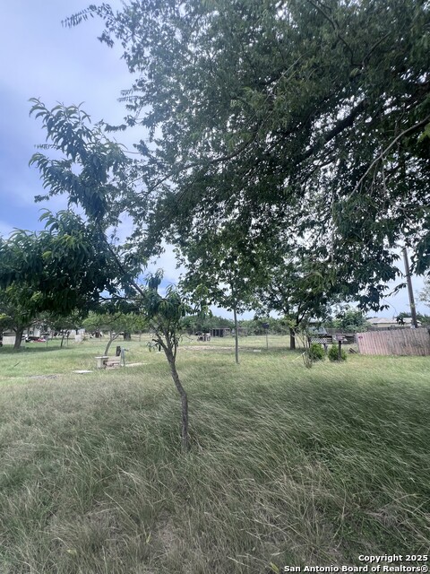 Listing photo id 8 for 707 Mountain View