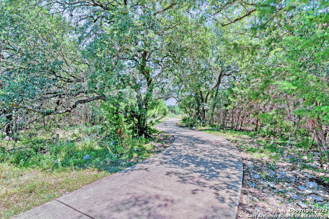 Listing photo id 32 for 22503 Madison Park