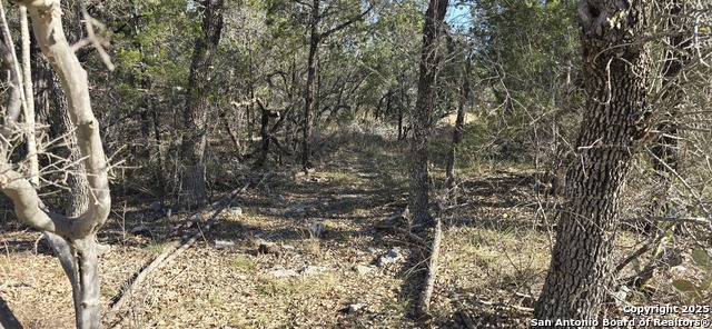 Listing photo id 0 for 000 Fm 187, Chisolm Trail N
