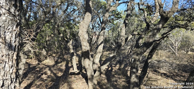Listing photo id 2 for 000 Fm 187, Chisolm Trail N