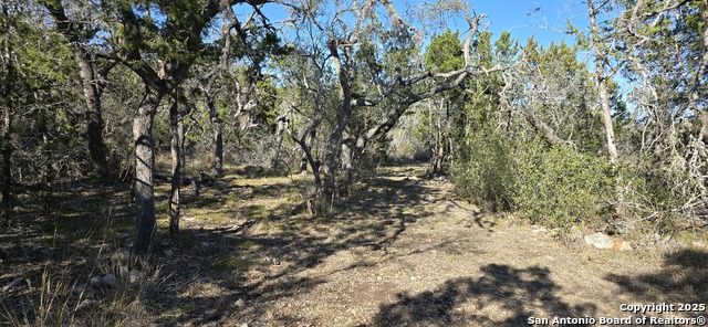 Listing photo id 5 for 000 Fm 187, Chisolm Trail N