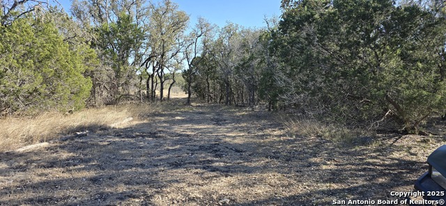 Listing photo id 7 for 000 Fm 187, Chisolm Trail N